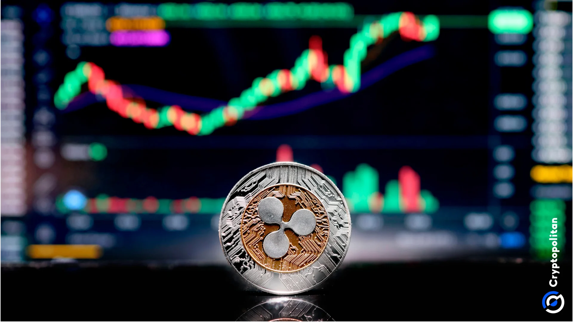 关于XRP突遭安全漏洞，流失高达430万美元的信息